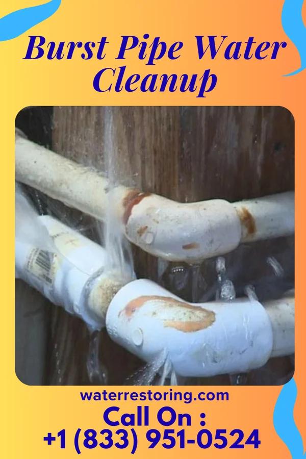 Burst Pipe Water Cleanup in Honeoye Falls, NY
