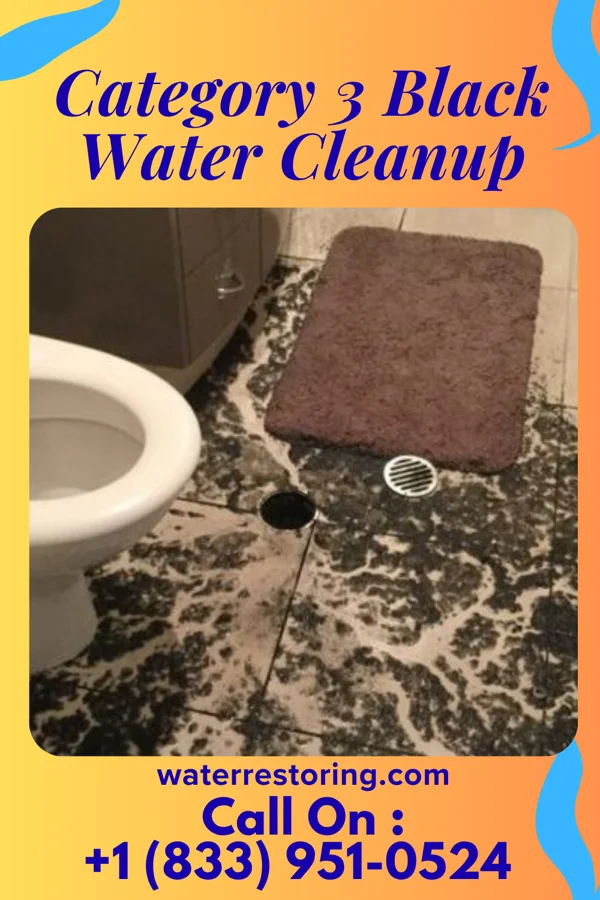 Category 3 Black Water Cleanup in Honeoye Falls, NY
