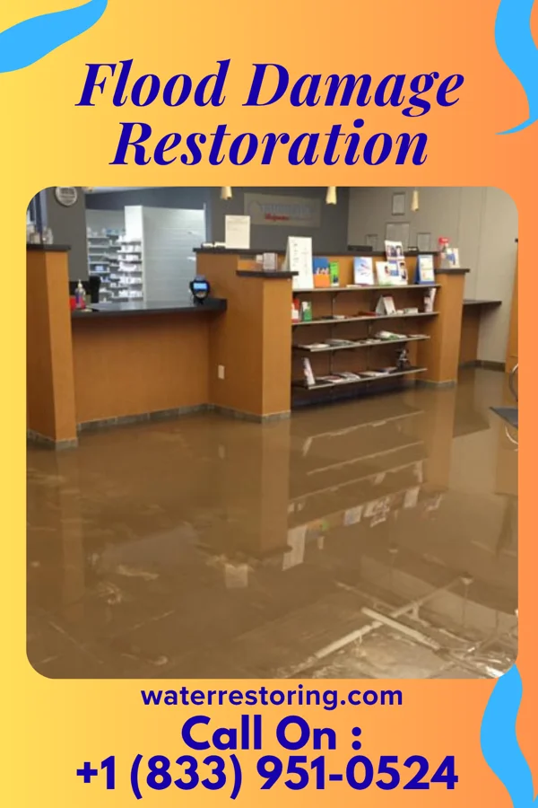 Flood Damage Restoration in Honeoye Falls, NY