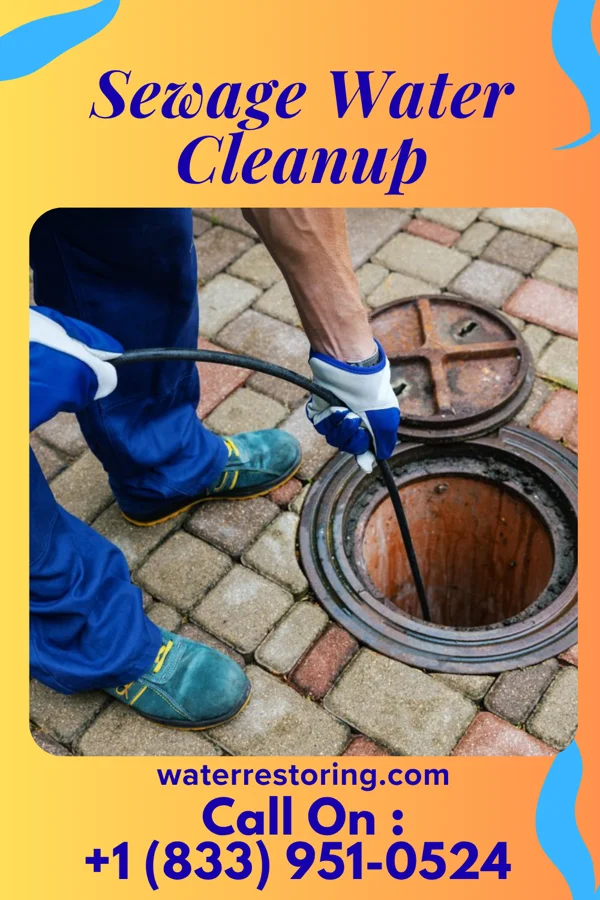 Sewage Water Cleanup in Honeoye Falls, NY