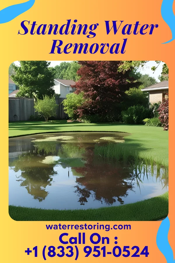 Standing Water Removal in Honeoye Falls, NY